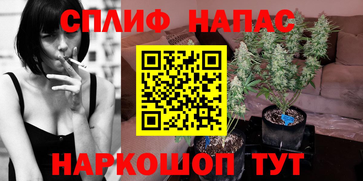 Конопля планчик Калуга